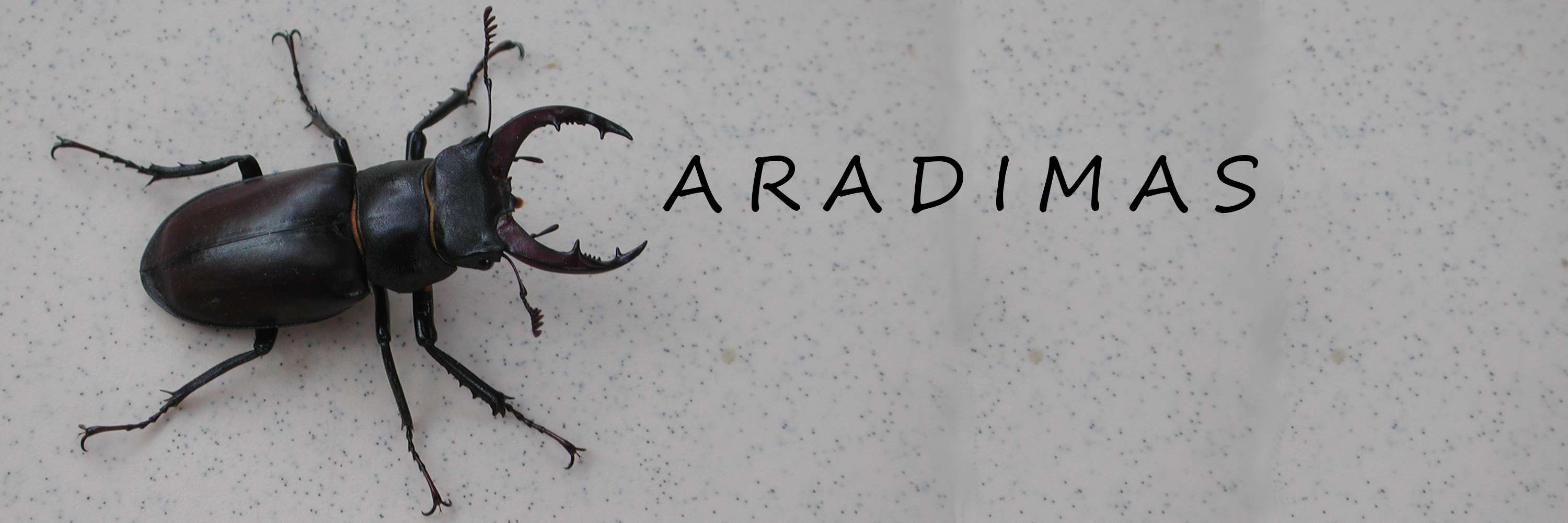 logo Karadimas